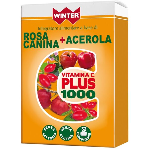 gdp srl winter vit c plus 1000 32cpr