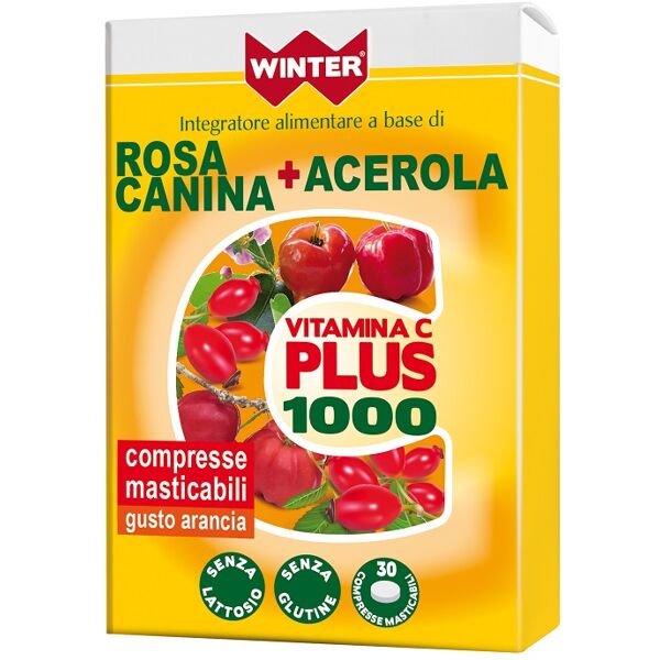 gdp srl winter vitamina c plus 1000 rosa canina + acerola 30 compresse masticabili