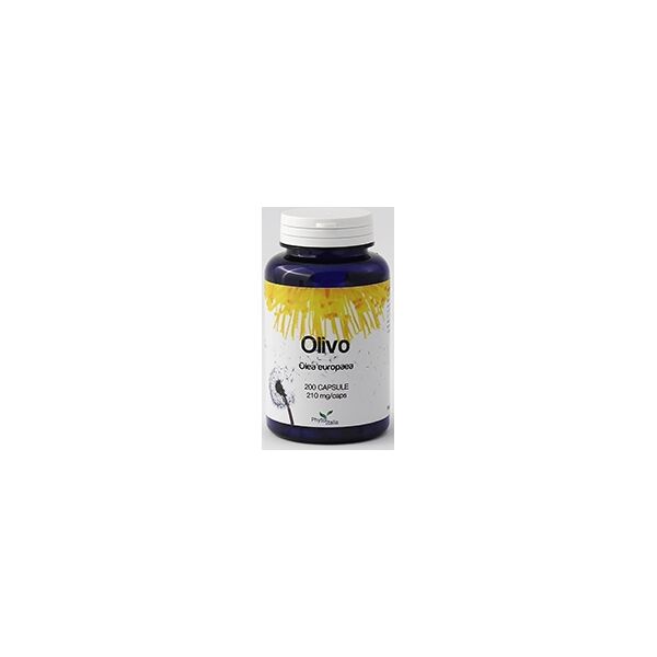 phytoitalia srl olivo 60 capsule