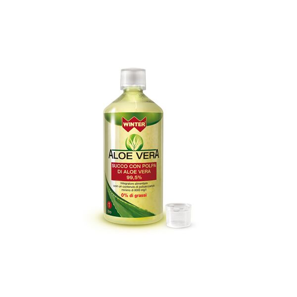 gdp srl-general dietet.pharma winter aloe vera succo e polpa 1 litro