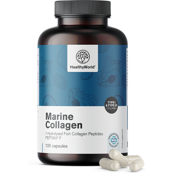 healthyworld collagene marino 1170 mg, 120 capsule