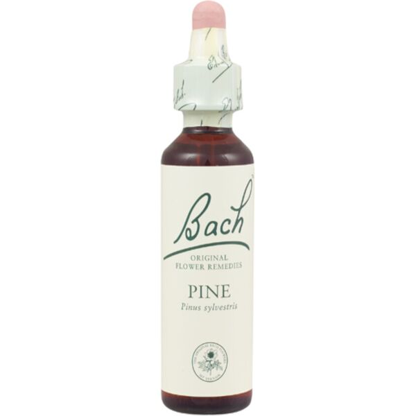 schwabe bach pine 20 ml