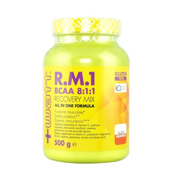 +watt rm1 new formula (bcaa 8:1:1) 500 grammi arancia