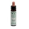 Santiveri Sa Ainsworths Beech 10ml