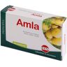 KOS Srl AMLA Est.Secco 60Cpr KOS