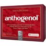 La Strega Srl MASQUELIERS ANTHOGENOL 90 Cps