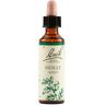 Schwabe Pharma Italia Srl Bach Originali Holly 20 ml