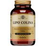 Solgar Lipo Colina Integratore di Colina 100 Capsule