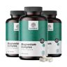 HealthyWorld® 3x Complesso di magnesio, totale 540 capsule