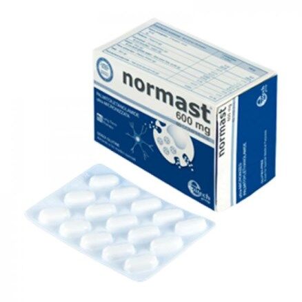 Epitech Normast 600mg 60 Compresse