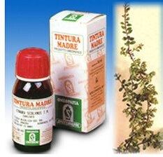 Specchiasol Uva Ursina 30 Tintura Madre 50 ml