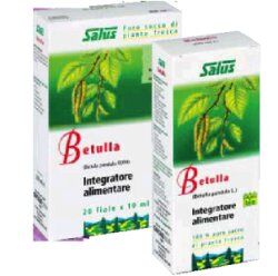 BIO + Betulla Succo 200 ml Bio