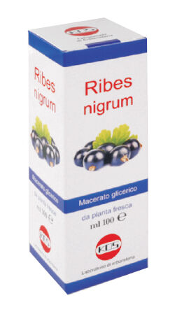 Kos Ribes Nigrum Mg 100 ml Gocce