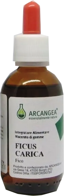 Arcangea Ficus Carica Bio 33 Gradi 100 ml