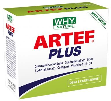 WHY Nature Artef Plus 24 bustine