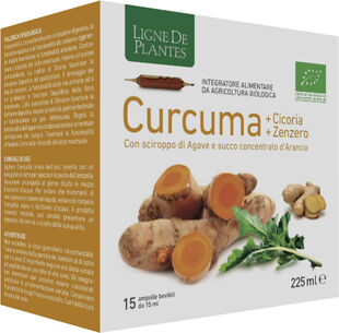 NATURA SERVICE Srl CURCUMA 15 Amp.15ml NSE