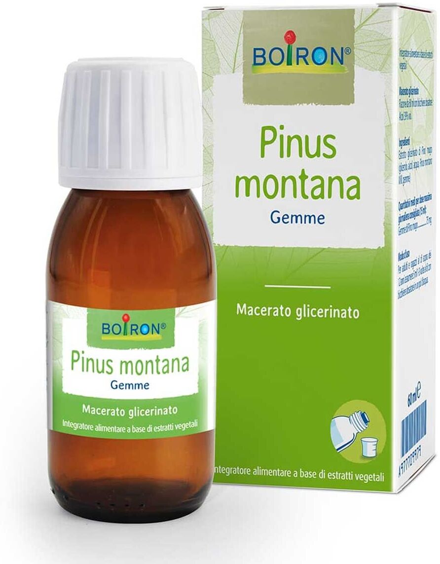 Boiron Pinus Montana Macerato Glicerico 60ml