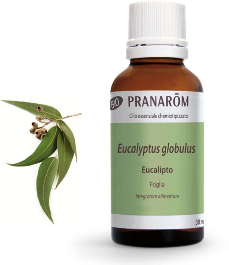 Pranarom Olio Essenziale Eucalipto 30ml