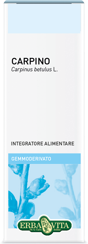 Erba Vita Gemmoderivato Carpino 50ml