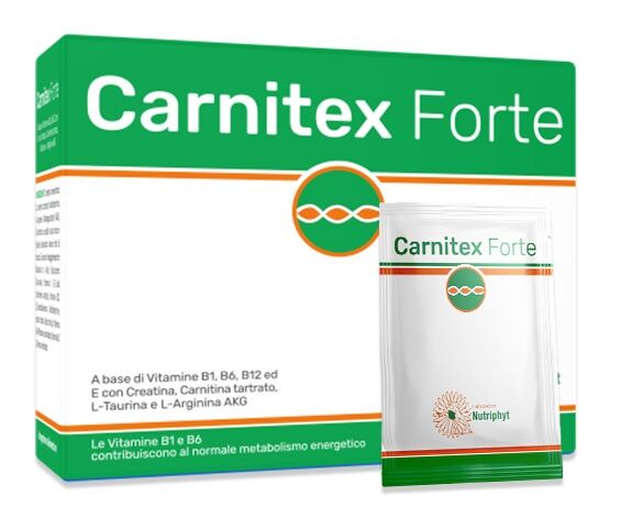 Anvest Health Srl Carnitex Forte 20bust