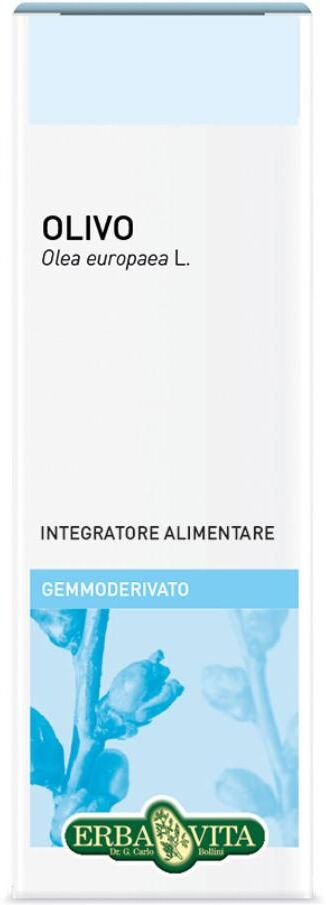 Erba Vita Gemmoderivato Olivo 50ml