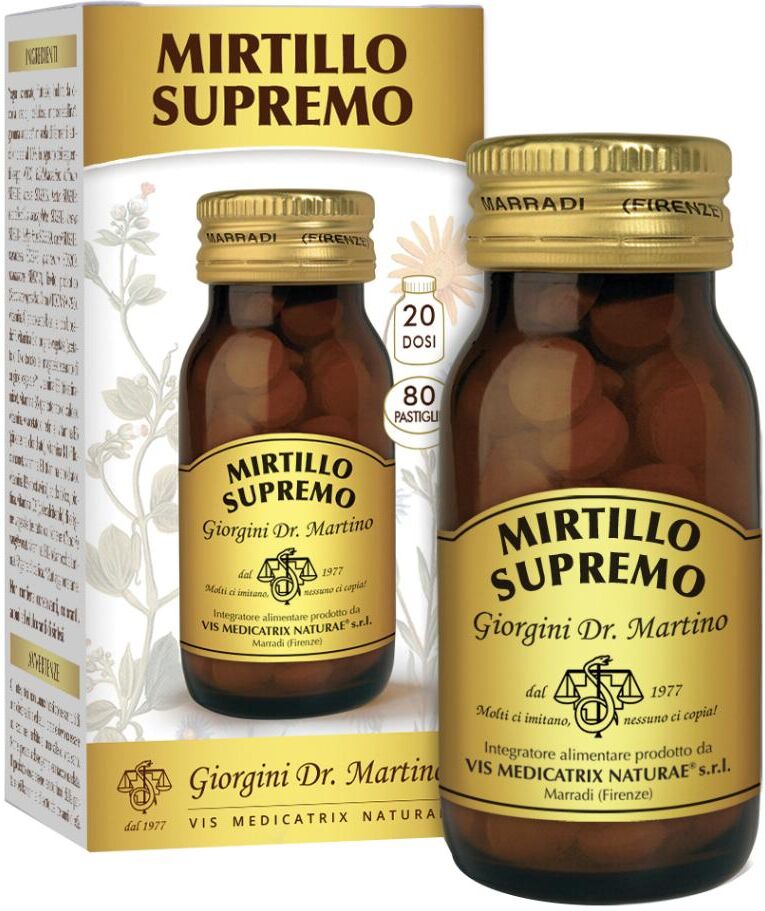 Dr.Giorgini Ser-Vis Srl Mirtillo Supremo Past.40g Svs