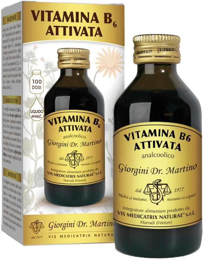 Giorgini Ser-Vis Srl Vitamina B 6 Att.Liq.100ml Svs