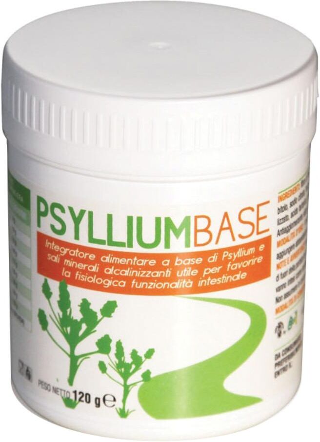 A.V.D. Reform Srl Psyllium Base Polvere 200g