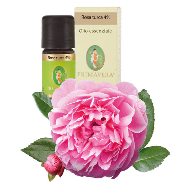 Flora Rosa turca damascena 4% - olio essenziale - 5ml