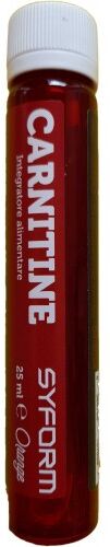 Syform Carnitine Fiale 25 Ml Gusto Arancia