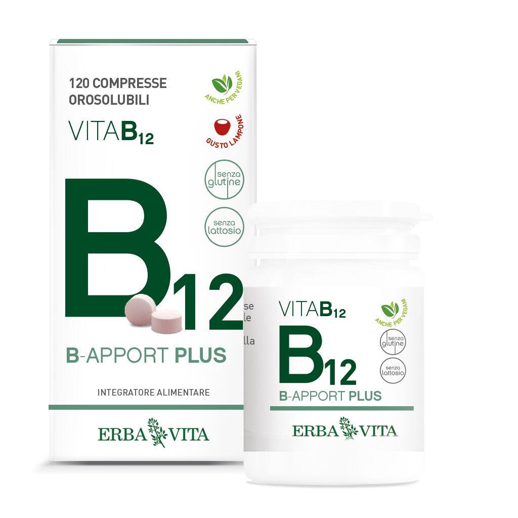 Erba Vita B-Apport Plus Integratore Vitamina B 24 g