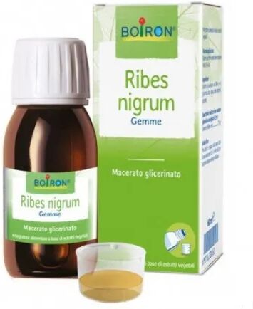 Boiron Ribes Nigrum Gemme Macerato Glicerico 60 ml