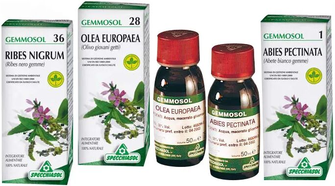 Specchiasol Gemmosol 42 Sequoia Gemmoderivato 50 ml