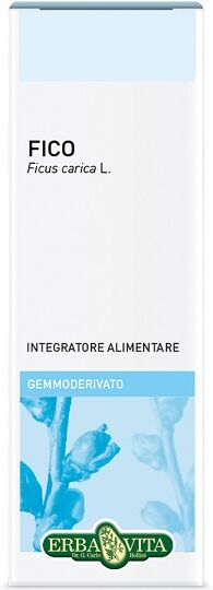 Erba Vita Gemmoderivato fico 50ml ebv