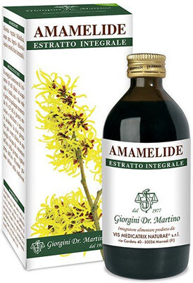 GIORGINI Amamelide estr.int.200ml svs