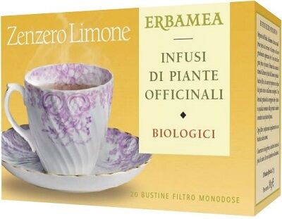 ERBAMEA Zenzero/lim bio 20buste