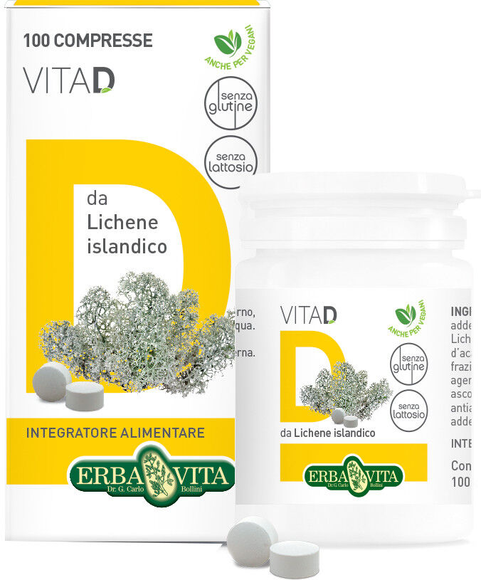 Erba Vita Vita D 100 Compresse Orosolubili 20g