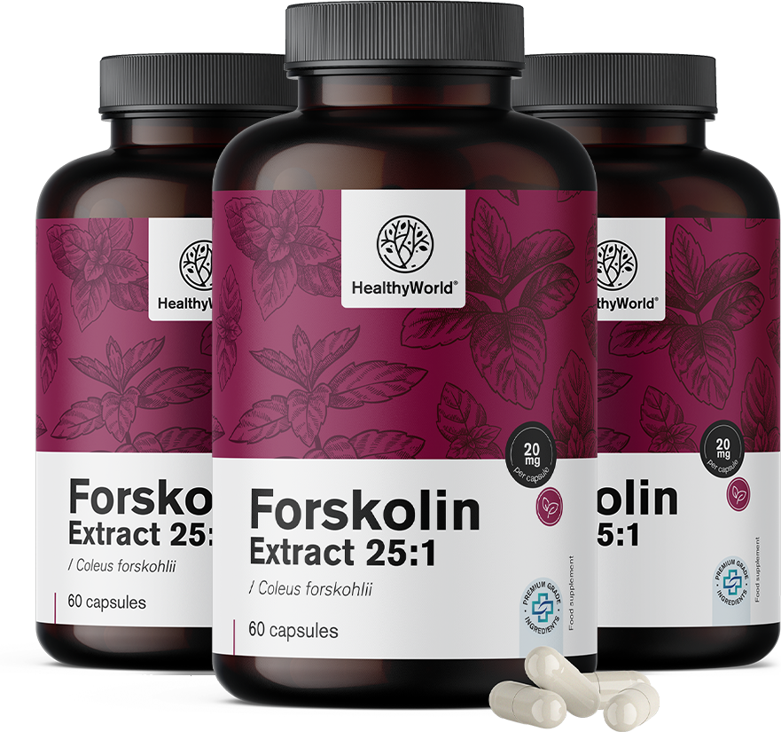 HealthyWorld 3x Forskolina – dall'estratto di ortica indiana 20 mg, totale 180 capsule