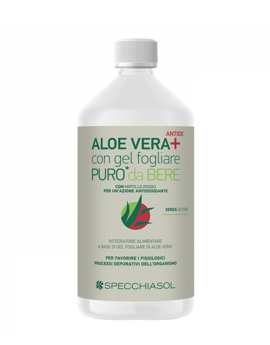 SPECCHIASOL Aloe Vera+ Mirtillo Rosso 1000ml