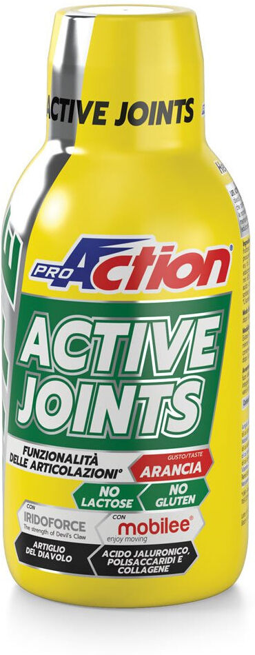 PROACTION Active Joints 500 Ml Arancia