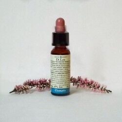 LABORATORIO ERBORISTICO DI LEO N°9 Di Leo Fiori di Bach Clematis Flacone da 10 ml