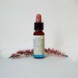 LABORATORIO ERBORISTICO DI LEO N°37 Di Leo Fiori di Bach Wild Rose Flacone da 10 ml