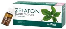 ZETA FARMACEUTICI ZETATON ELEUTEROCOCCO 12 FLACONCINI DA 10ml