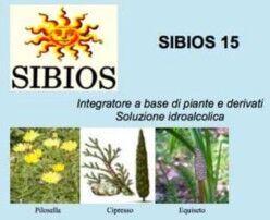 BIOLOGICA - SIBIOS SIBIOS 15 GOCCE 50 ML Azione diuretica e depurativa renale