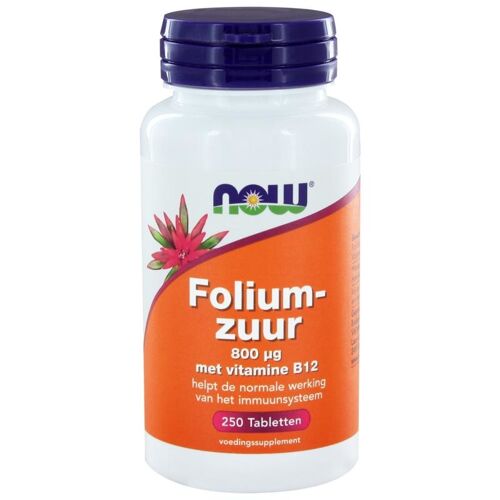 NOW Foliumzuur 800 mcg (250 tab)