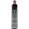 Ainsworths Aspen Bach (10 ml)