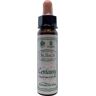 Ainsworths Centaury Bach (10 ml)