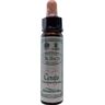 Ainsworths Cerato Bach (10 ml)