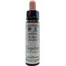 Ainsworths Impatiens Bach (10 ml)