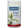 Lamberts Salie (sage) (90 tab)